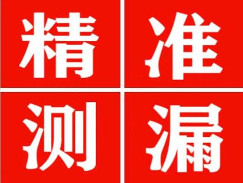 根河尚嘉漏水精准查找